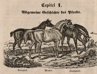 Chovatelská příručka z roku 1837. Zdroj: archiv autora